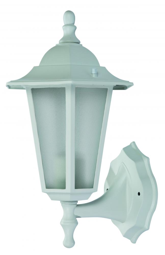 Alexander Outdoor 1-Light Frosted Glass and Metal Lantern with Scalloped Edge Wall Mount Plate