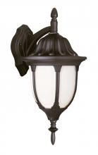 Trans Globe 4048 RT - Hamilton 13" Wall Lantern