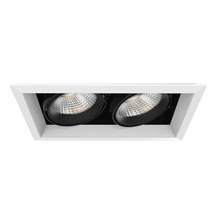 Eurofase TE132LED-40-2-02 - MuLT, 26w, Trm, 2LT , 40k, Wht/blk