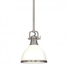 Hudson Valley 2622-SN - 1 LIGHT PENDANT