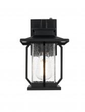 Elegant OD304W12BK - Salem 7 inch Outdoor Pendant in Black