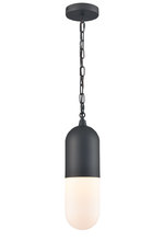 DVI Lighting DVP13775BK-OP - Capsule Pendant