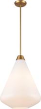 DVI Lighting DVP25805BR-TO - St Julian 14 Inch Pendant