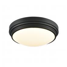 DVI Lighting DVP33038EB-5CCT - ALGOMA 13" LED FLUSH MOUNT