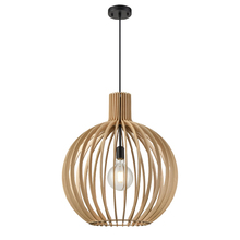 DVI Lighting DVP42621BK-NW - Nahanni Park Small Pendant