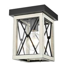 DVI Lighting DVP43374BK+BIW-CL - County Fair Outdoor Flush Mount