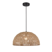 DVI Lighting DVP44208BK-TY - Lac Du Bonnet 17.75 Inch Pendant