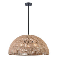 DVI Lighting DVP44248BK-TY - Lac Du Bonnet 26" 3 Light Pendant