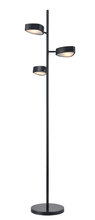 DVI Lighting DVP45409EB-OP - Northern Marches Floor Lamp