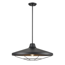 DVI Lighting DVP45924BK - Somerset Outdoor 22 Inch Pendant