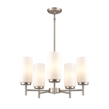 DVI Lighting DVP47125BN-OP - Manitou 5 Light Chandelier