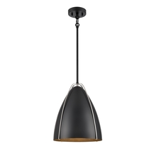 DVI Lighting DVP47310EB+SN - Saguenay Pendant