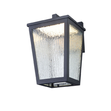 DVI Lighting DVP49571BK-RG - Calabasis Sconce