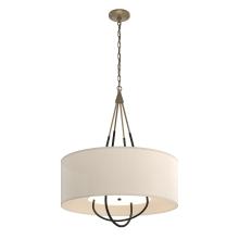 Hubbardton Forge - Canada 104230-SKT-84-10-SA2811 - Loop Pendant