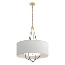 Hubbardton Forge - Canada 104230-SKT-86-05-SJ2811 - Loop Pendant