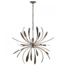 Hubbardton Forge - Canada 104350-SKT-05 - Dahlia Chandelier