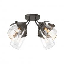 Hubbardton Forge - Canada 121371-SKT-07-LL0330 - Lapas 4-Light Semi-Flush