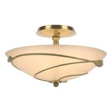 Hubbardton Forge - Canada 126712-SKT-86-SS0048 - Forged Leaves Semi-Flush