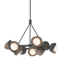 Hubbardton Forge - Canada 131068-SKT-MULT-20-05-GG0711 - Brooklyn 9-Light Double Shade Ring Pendant