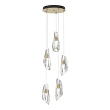 Hubbardton Forge - Canada 131121-SKT-STND-86-CR - Luma 5-Light Pendant