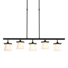 Hubbardton Forge - Canada 136605-SKT-LONG-10-GG0242 - Wren 5 Light Pendant