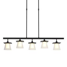 Hubbardton Forge - Canada 136605-SKT-SHRT-10-ZU0284 - Wren 5 Light Pendant