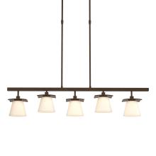 Hubbardton Forge - Canada 136605-SKT-STND-05-GG0242 - Wren 5 Light Pendant