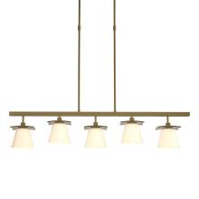 Hubbardton Forge - Canada 136605-SKT-STND-86-GG0242 - Wren 5 Light Pendant