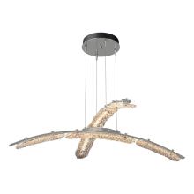 Hubbardton Forge - Canada 137587-LED-STND-85-ZM0749 - Glissade Double Large LED Pendant