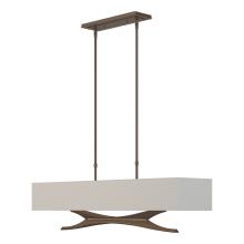 Hubbardton Forge - Canada 137655-SKT-STND-05-SJ4298 - Moreau Pendant