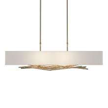 Hubbardton Forge - Canada 137660-SKT-LONG-84-SJ4298 - Brindille Pendant