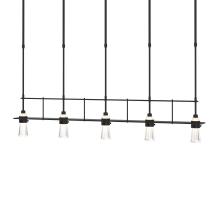 Hubbardton Forge - Canada 137725-SKT-SHRT-10-ZM0343 - Erlenmeyer 5 Light Pendant