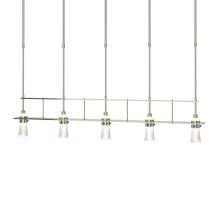 Hubbardton Forge - Canada 137725-SKT-SHRT-85-ZM0343 - Erlenmeyer 5 Light Pendant