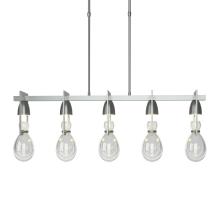 Hubbardton Forge - Canada 137810-SKT-SHRT-82-ZM0572 - Apothecary Pendant