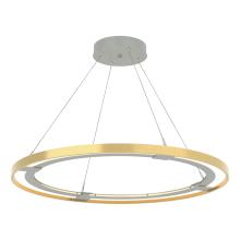 Hubbardton Forge - Canada 139776-LED-STND-82-86 - Ringo LED Pendant