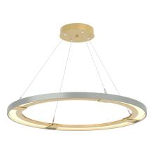 Hubbardton Forge - Canada 139776-LED-STND-86-82 - Ringo LED Pendant