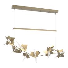 Hubbardton Forge - Canada 139813-LED-STND-84-84-CR - Belladonna LED Pendant