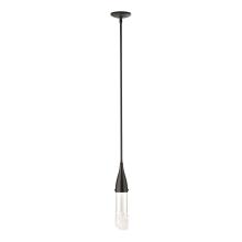 Hubbardton Forge - Canada 188900-SKT-MULT-14-ZM0617 - Fritz Mini Pendant