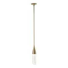 Hubbardton Forge - Canada 188900-SKT-MULT-86-ZM0617 - Fritz Mini Pendant