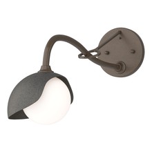 Hubbardton Forge - Canada 201376-SKT-05-20-GG0711 - Brooklyn 1-Light Single Shade Long-Arm Sconce