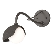 Hubbardton Forge - Canada 201376-SKT-14-07-GG0711 - Brooklyn 1-Light Single Shade Long-Arm Sconce