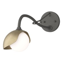 Hubbardton Forge - Canada 201376-SKT-20-84-GG0711 - Brooklyn 1-Light Single Shade Long-Arm Sconce