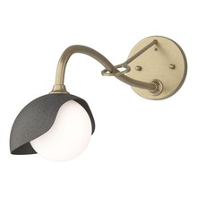 Hubbardton Forge - Canada 201376-SKT-84-20-GG0711 - Brooklyn 1-Light Single Shade Long-Arm Sconce