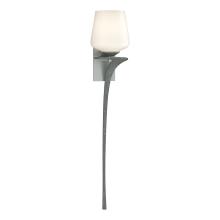 Hubbardton Forge - Canada 204710-SKT-RGT-82-GG0236 - Antasia Single Glass 1 Light Sconce