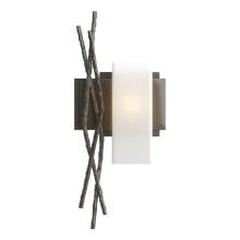 Hubbardton Forge - Canada 207670-SKT-RGT-07-GG0351 - Brindille Sconce