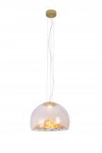 Bethel International Canada DLS16P15G - Gold Single Pendant Lighting